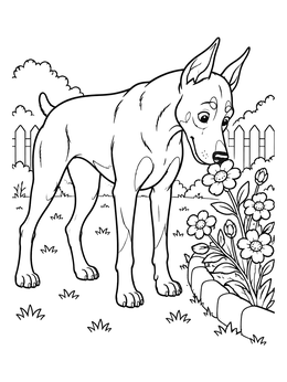 Free printable Curious Doberman Sniffing Garden Flowers coloring page