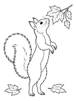 A curious squirrel coloring page shows the animal standing tall to sniff a falling autumn leaf.