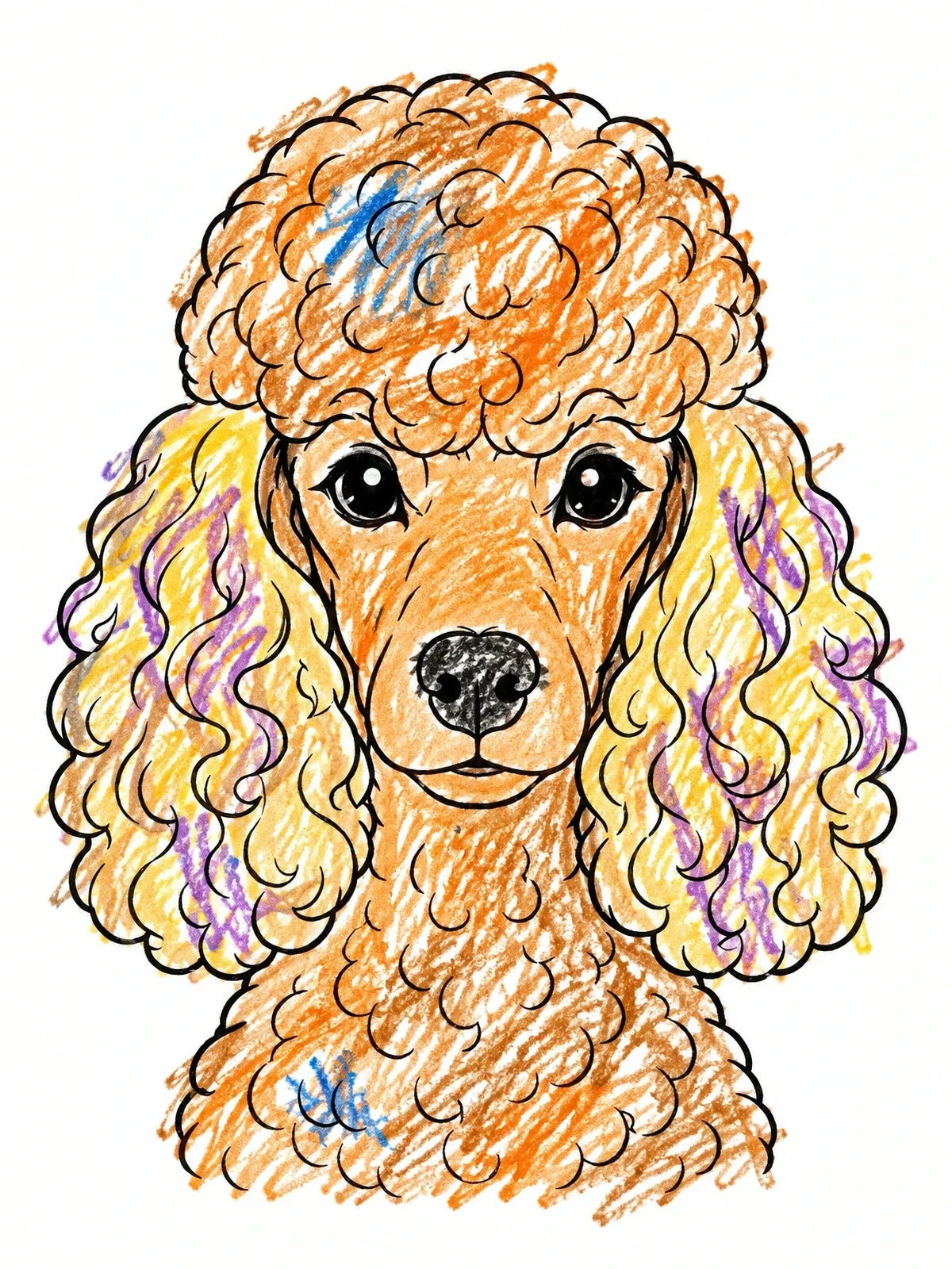Colored example of the Curly Poodle Dog Portrait coloring page