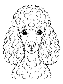 Intricate poodle coloring page showing a close-up portrait of a curly dog face.