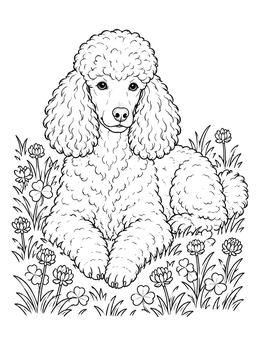 A curly standard poodle lies peacefully in a meadow on this poodle coloring page.
