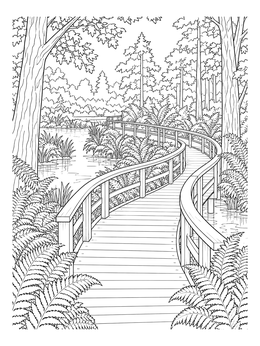 A winding bridge coloring page shows a wooden boardwalk curving through lush ferns and wetland woods.