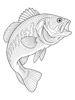 A detailed bass coloring page featuring a largemouth bass turning with open jaws.