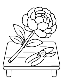Free printable Cut Peony Bloom On Wooden Bench coloring page