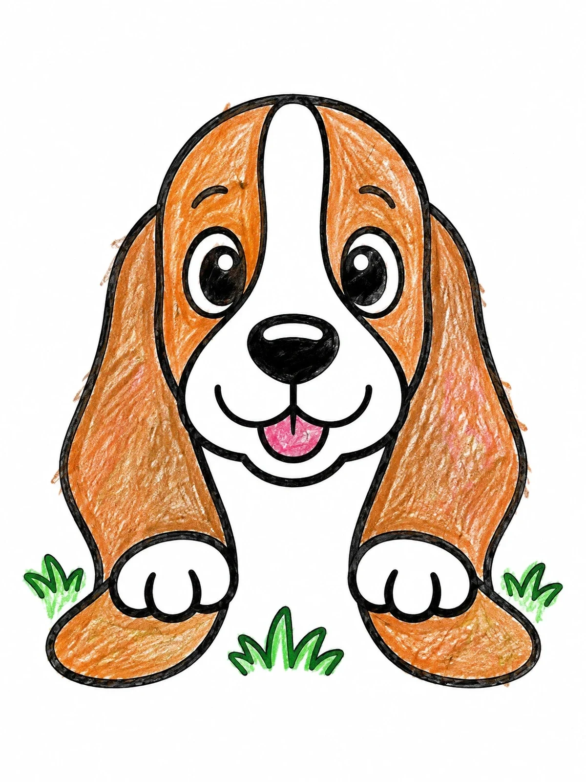 Colored example of the Playful Basset Hound Puppy With Droopy Ears coloring page