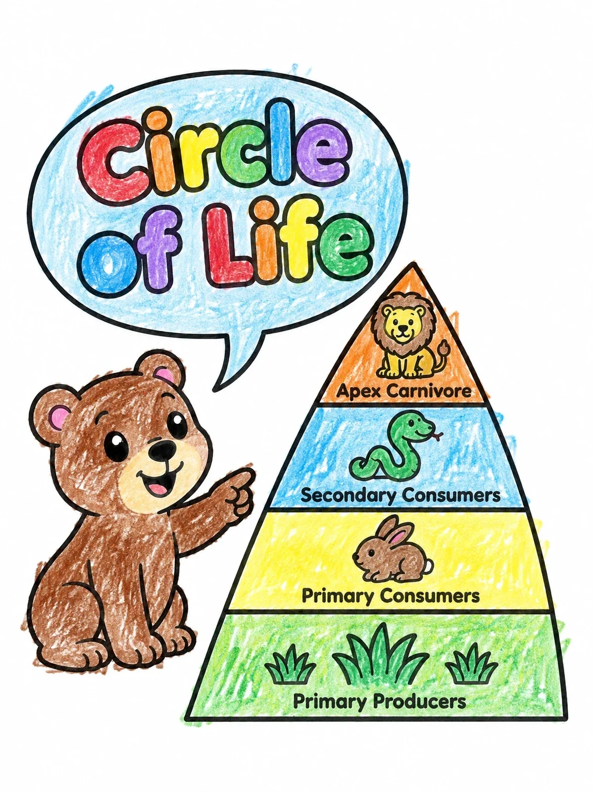 Colored example of the Cute Bear With Food Chain Pyramid coloring page