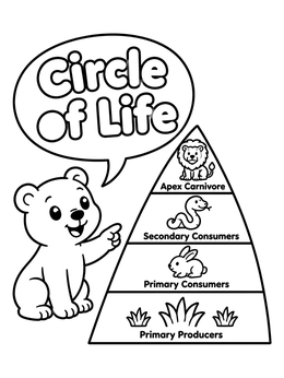 Free printable Cute Bear With Food Chain Pyramid coloring page