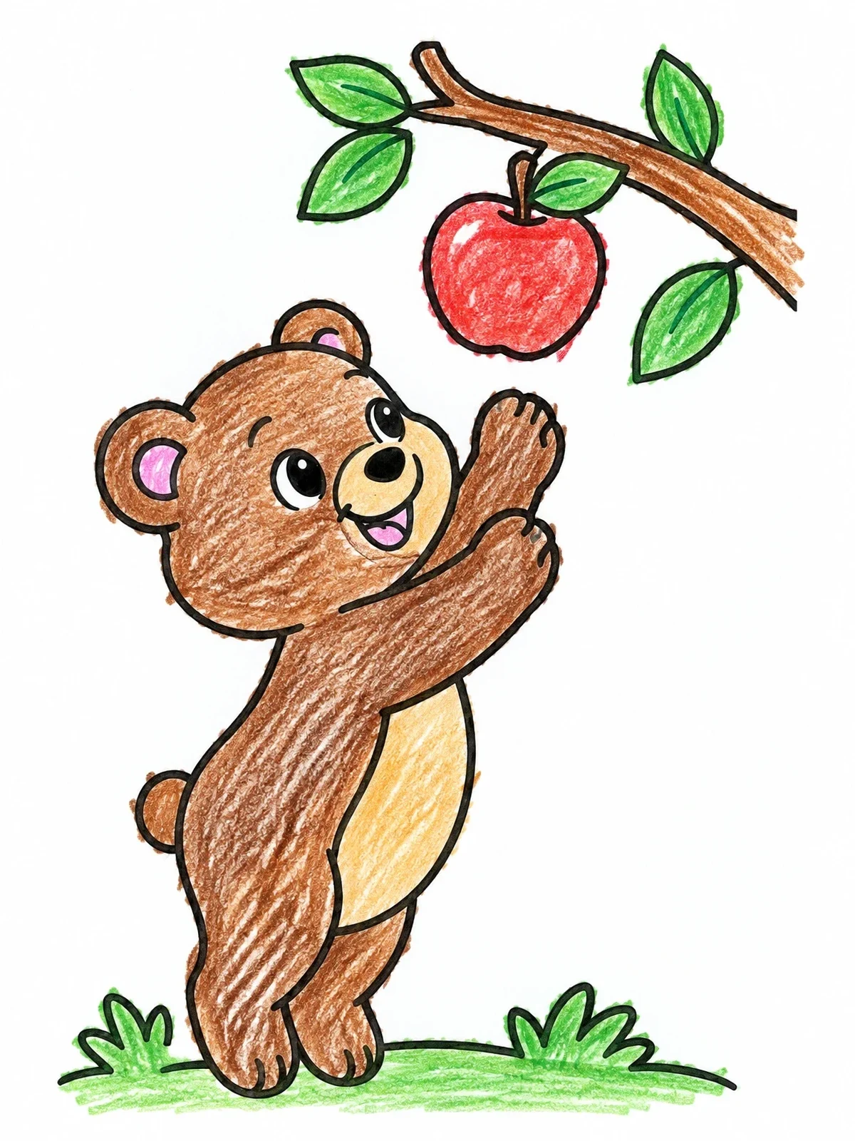 Colored example of the Cute Bear Reaching For Apple coloring page
