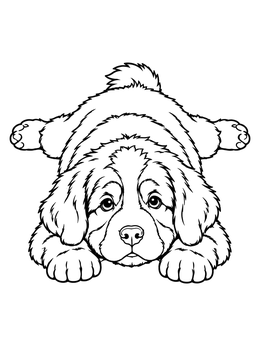 Free printable Cute Bernese Mountain Dog Puppy Sploot coloring page