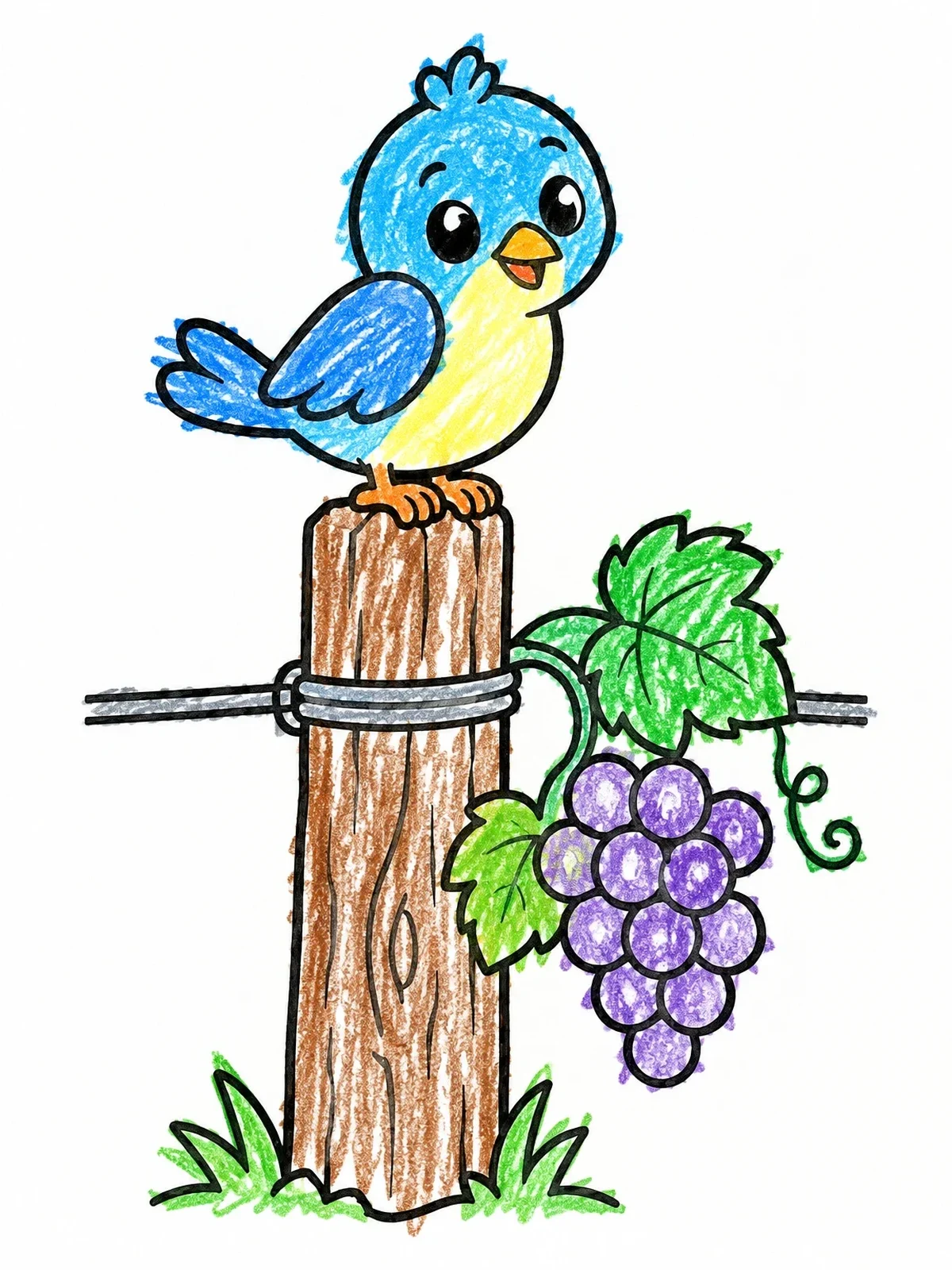 Colored example of the Cute Bird On Vineyard Post coloring page