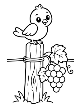 A cute little bird perched on a wooden fence post in this grapes coloring page.