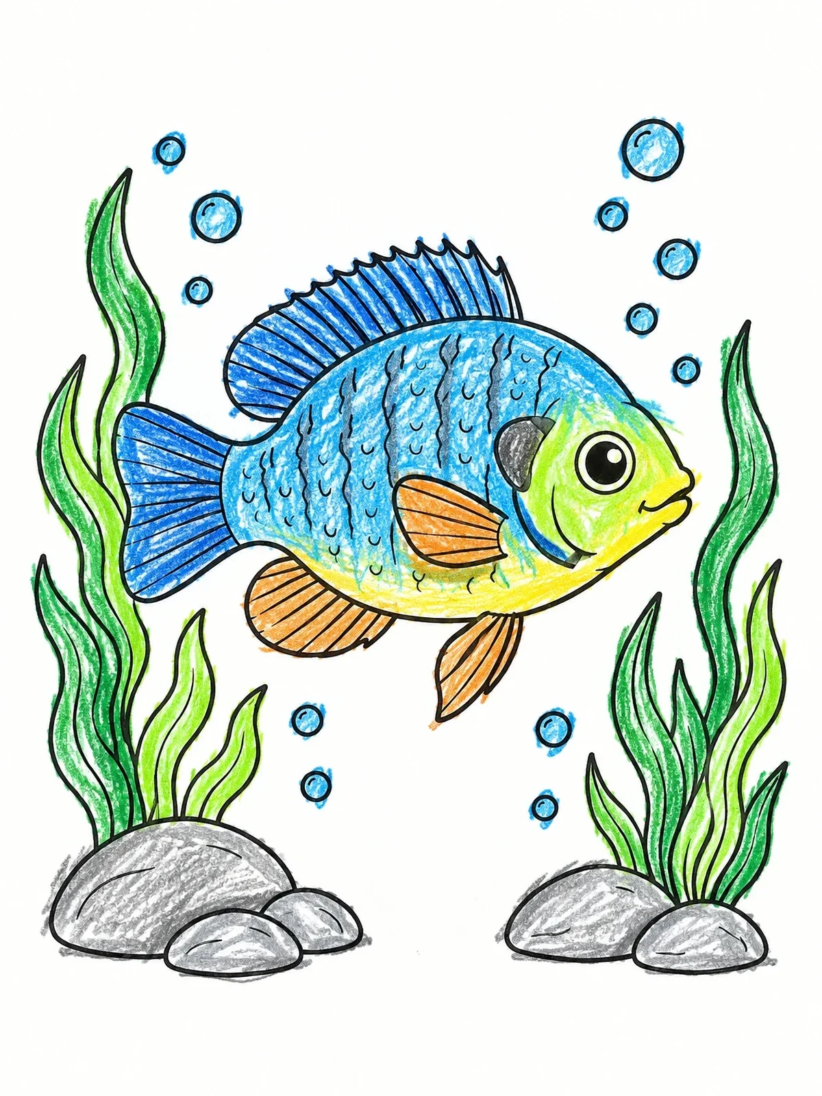 Colored example of the Cute Bluegill Swimming Underwater coloring page