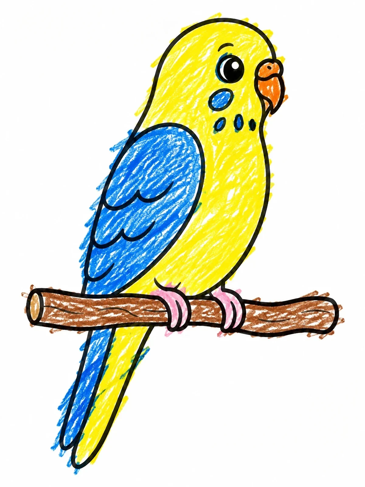 Colored example of the Cute Budgie Perched On Branch coloring page