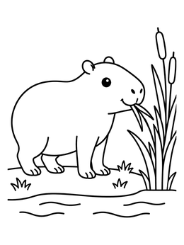 Free printable Cute Capybara Eating River Grass coloring page