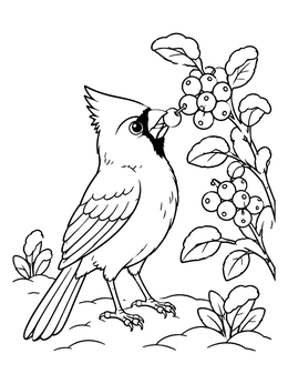 Free printable Cute Cardinal Nibbling Winter Berries coloring page