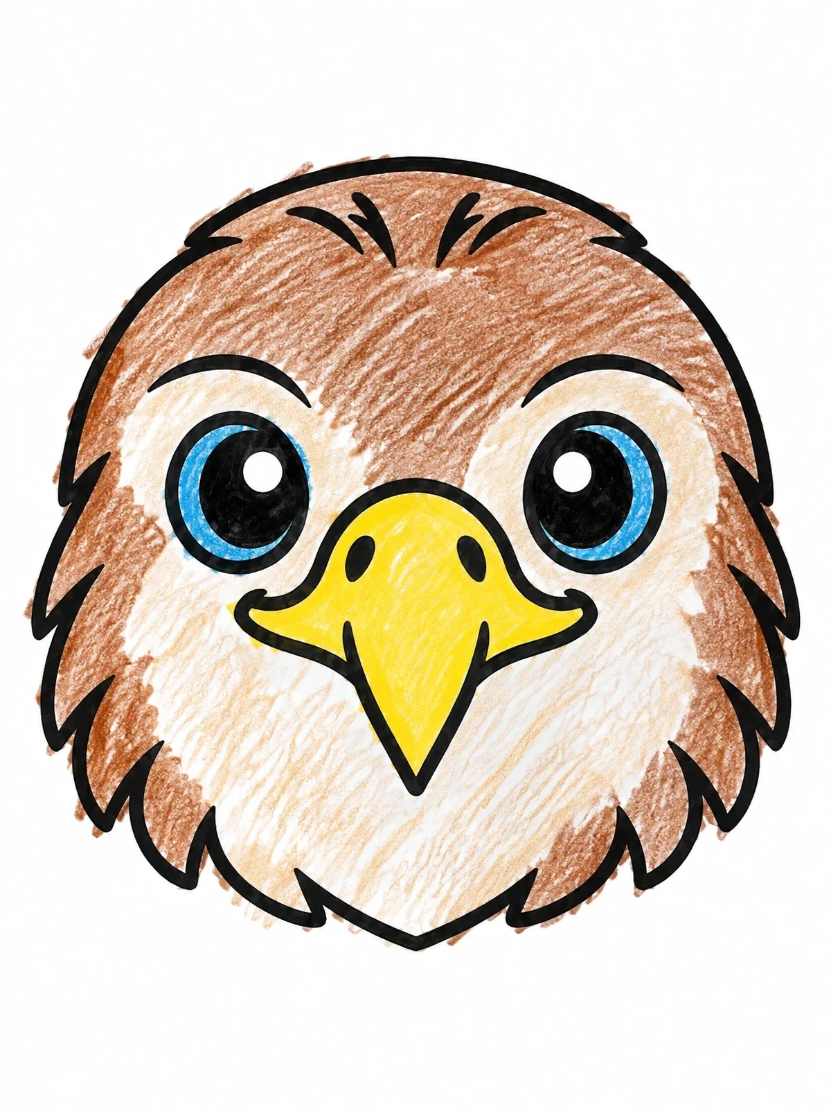 Colored example of the Cute Cartoon Hawk Face coloring page