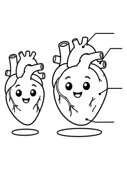 Free printable Cute Cartoon Heart Anatomy Diagram coloring page
