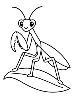 Free printable Cute Cartoon Praying Mantis On Leaf coloring page