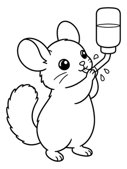 Free printable Cute Chinchilla Drinking Water coloring page