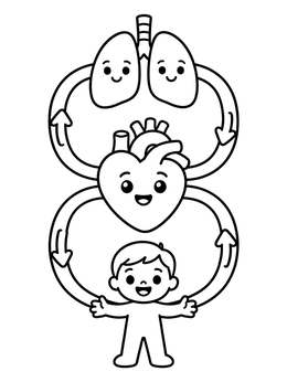 Free printable Cute Blood Circulation Loop Diagram coloring page
