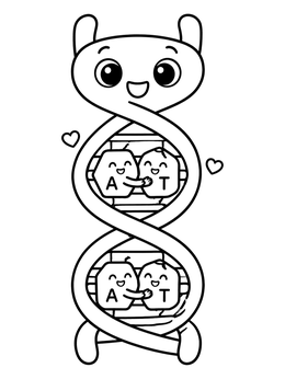Free printable Cute Dna Double Helix With Base Pairs coloring page
