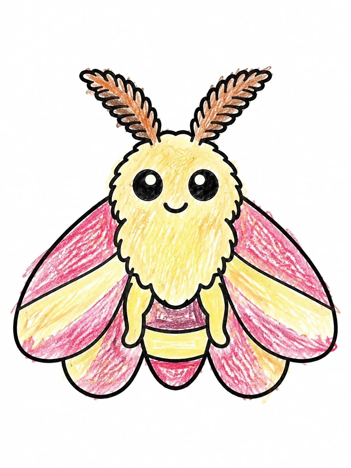 Colored example of the Cute Fluffy Moth coloring page