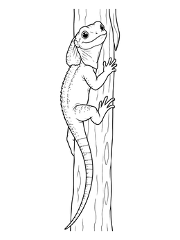 A cute lizard coloring page featuring a frilled lizard climbing up a tree trunk.