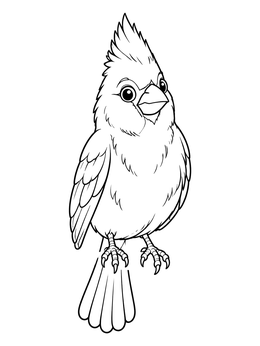 Free printable Cute Frontal Cardinal Bird coloring page
