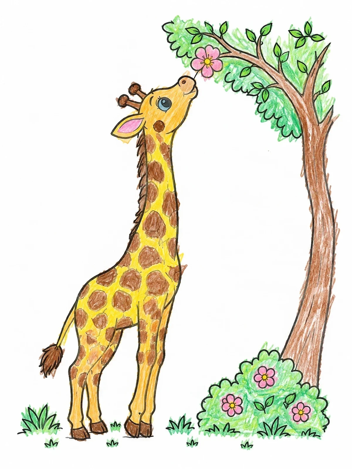 Colored example of the Cute Giraffe Reaching For Blossom coloring page