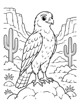 A hawk coloring page showing a friendly bird perched on a rock in a desert canyon.