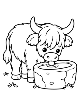 A cute cow coloring page showing a fluffy highland calf drinking from a stone water trough.
