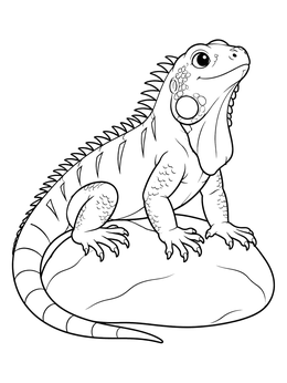 Free printable Cute Iguana Basking On Rock coloring page