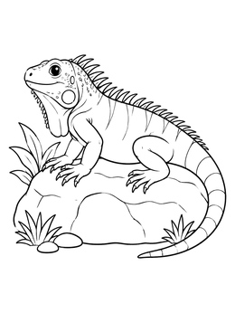 Free printable Cute Iguana Basking On A Rock coloring page