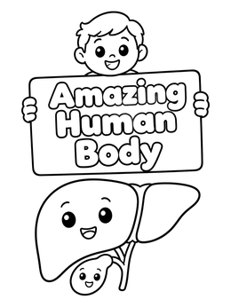 Free printable Cute Liver And Gallbladder Anatomy coloring page