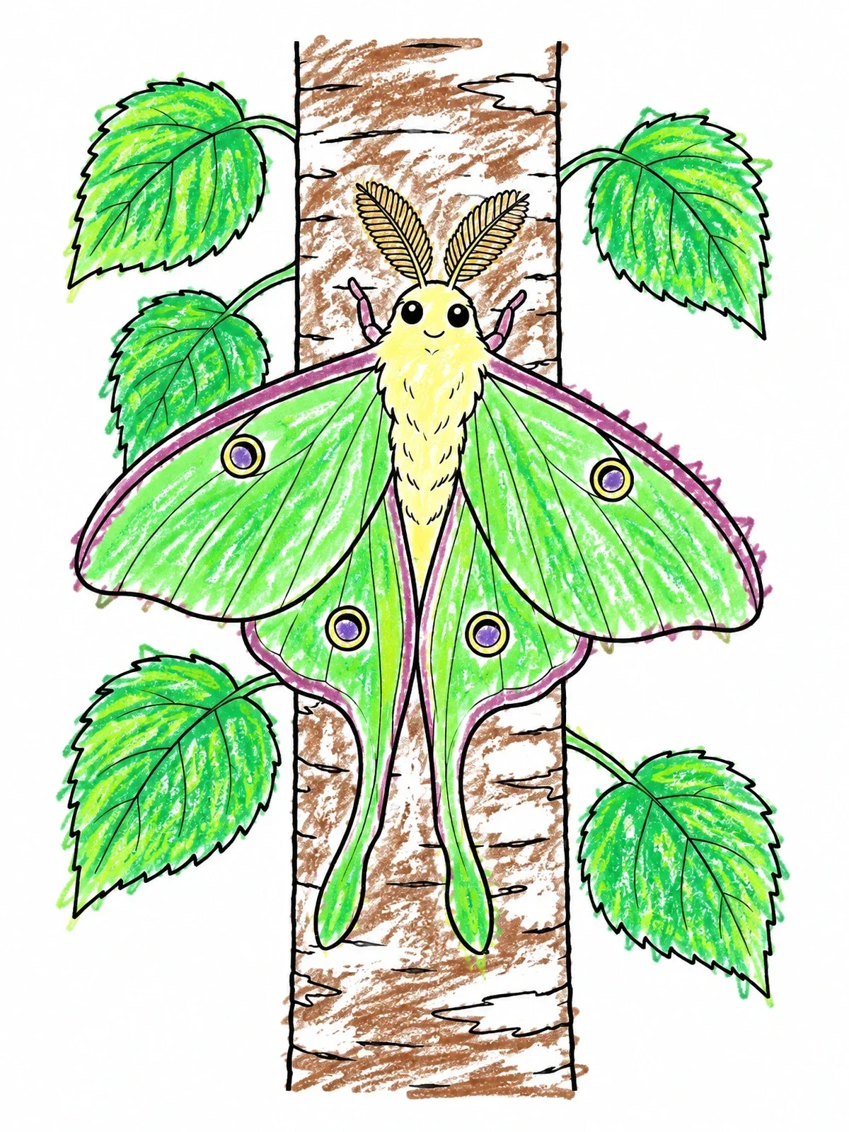 Colored example of the Cute Luna Moth On Birch Tree coloring page