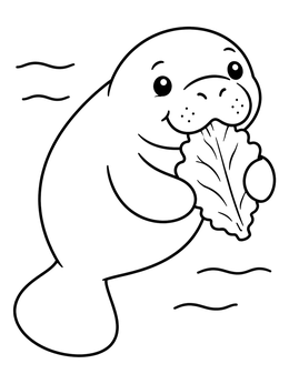 Free printable Cute Manatee Eating Lettuce coloring page
