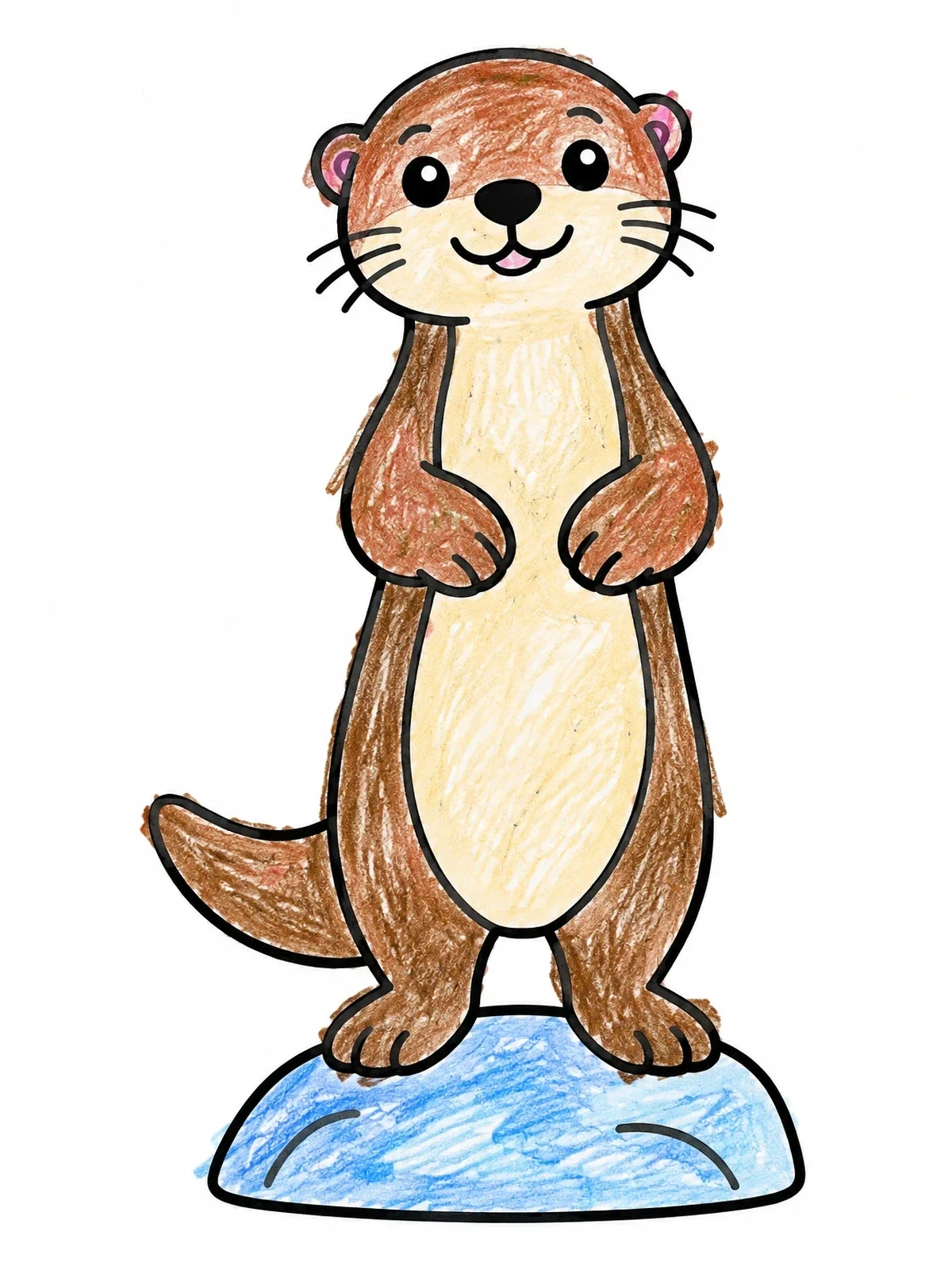 Colored example of the Cute Otter Standing On Rock coloring page