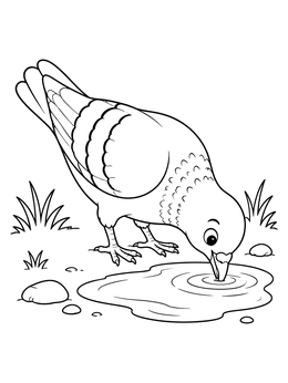 Free printable Cute Pigeon Drinking From Puddle coloring page