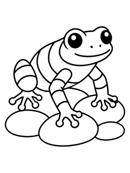 A cute banded frog coloring page with large eyes sitting on smooth river pebbles.