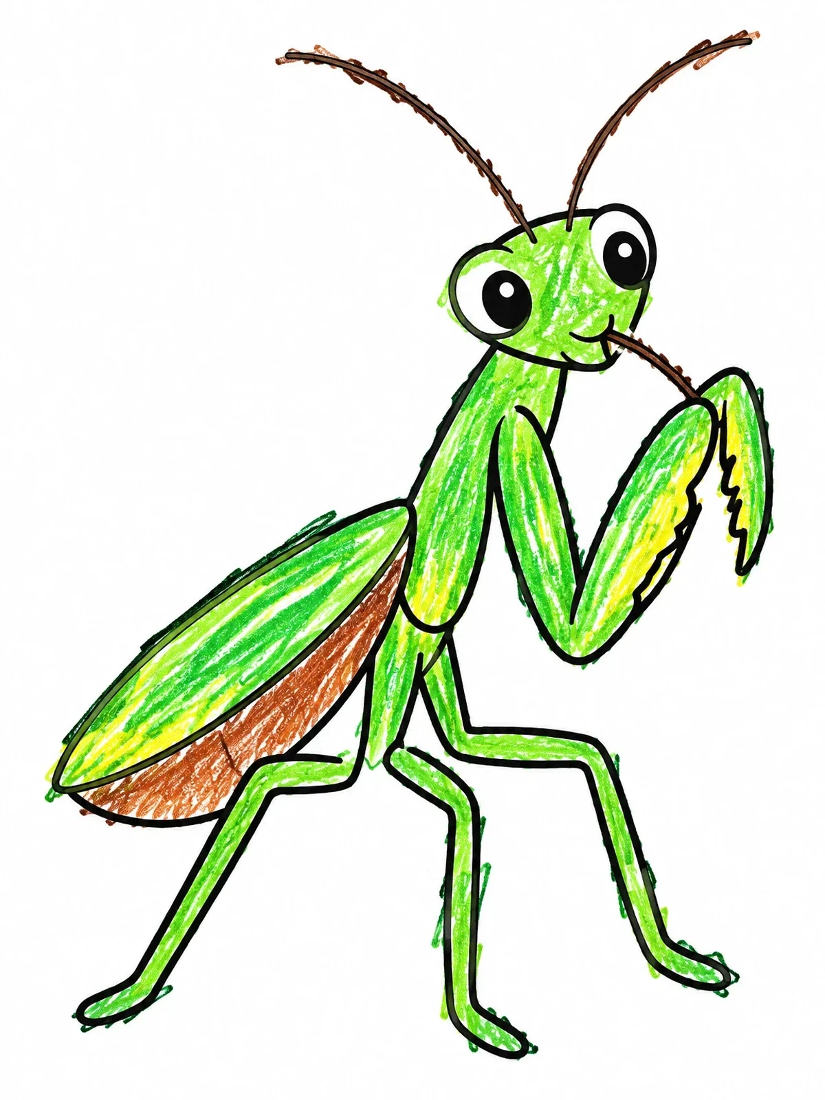 Colored example of the Cute Praying Mantis Grooming coloring page
