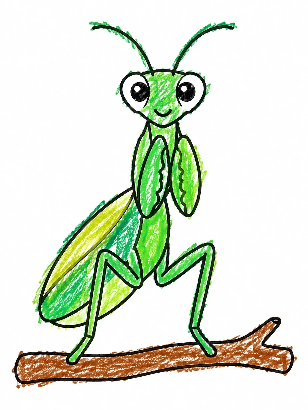 Colored example of the Cute Praying Mantis On Branch coloring page