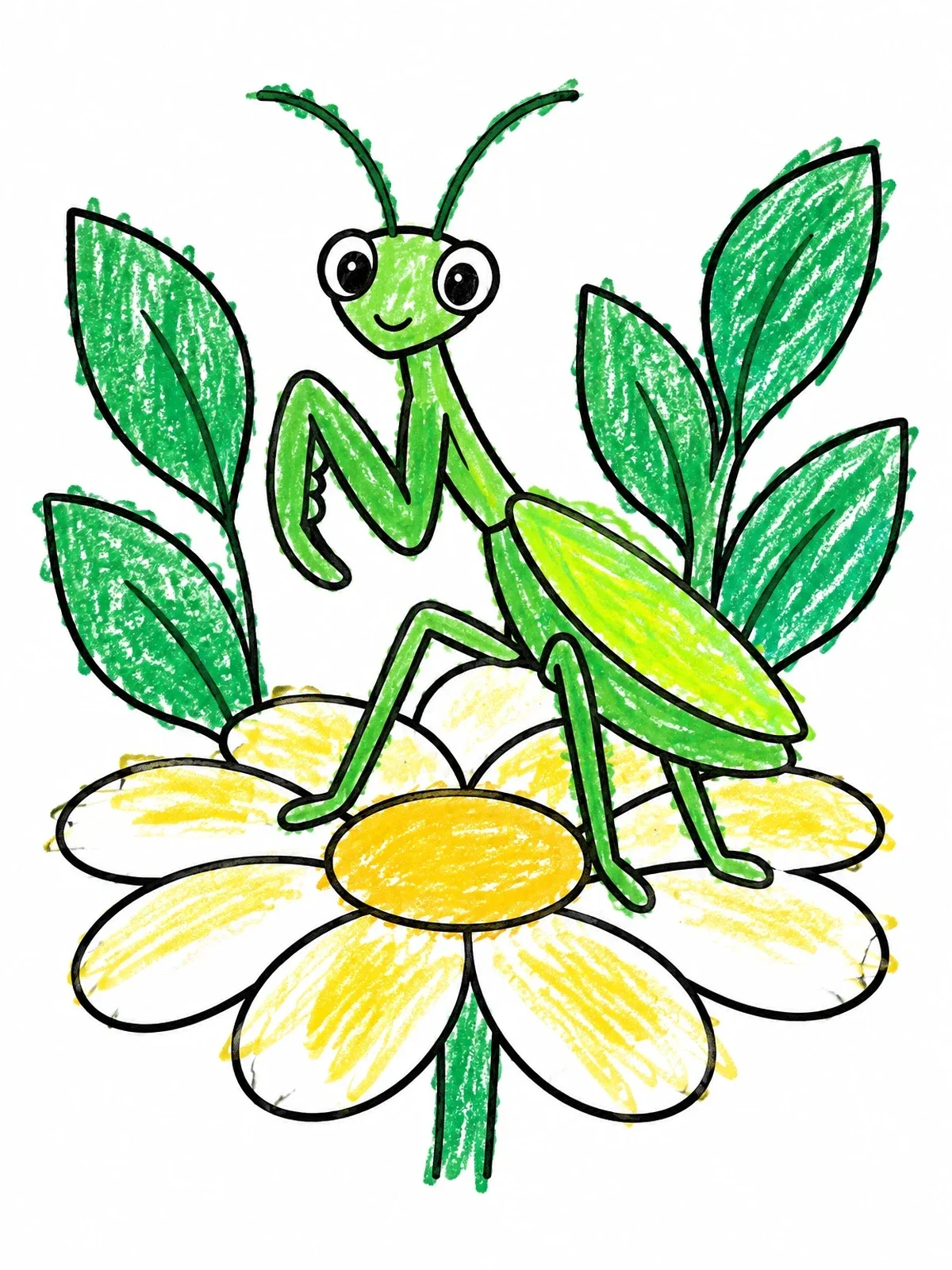 Colored example of the Cute Praying Mantis On A Daisy coloring page