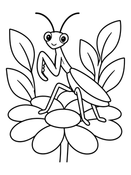 Free printable Cute Praying Mantis On A Daisy coloring page