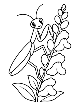 Free printable Cute Praying Mantis On Snapdragon coloring page