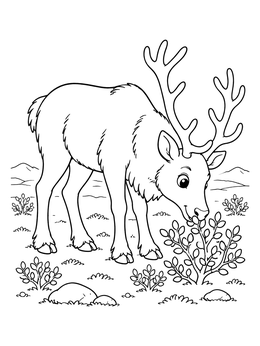 A friendly reindeer coloring page featuring a young deer nibbling on a bush in the tundra.