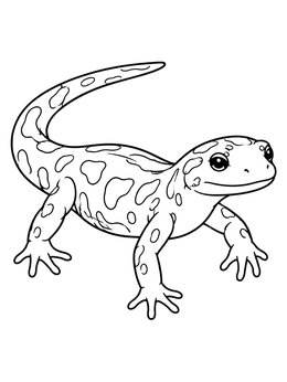 A spotted salamander coloring page showing the friendly amphibian crawling with clear outlines.