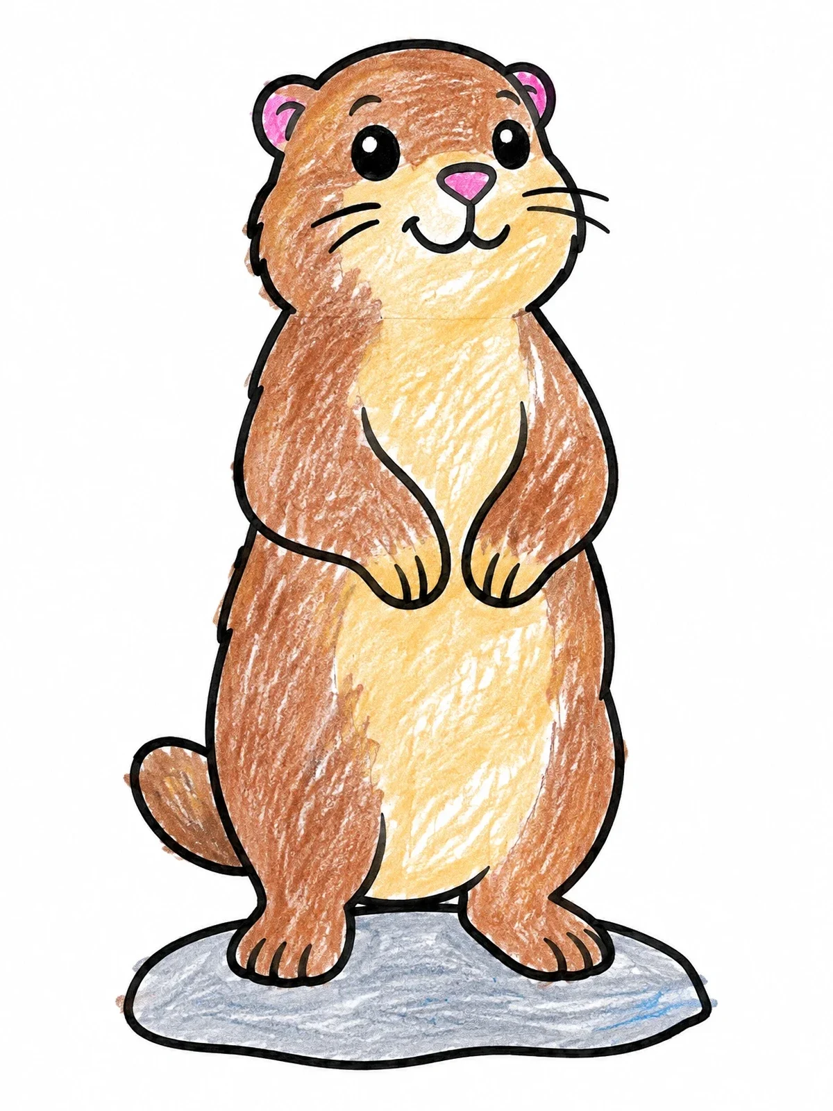 Colored example of the Cute Standing Marmot On Rock coloring page