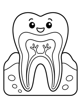 Free printable Cute Tooth Anatomy Cross Section coloring page