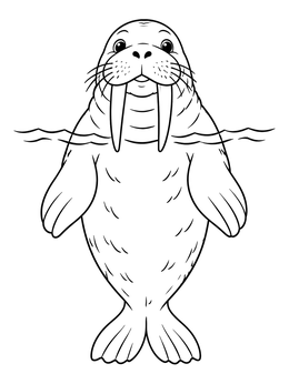 A cute walrus floating vertically in water on this walrus coloring page.