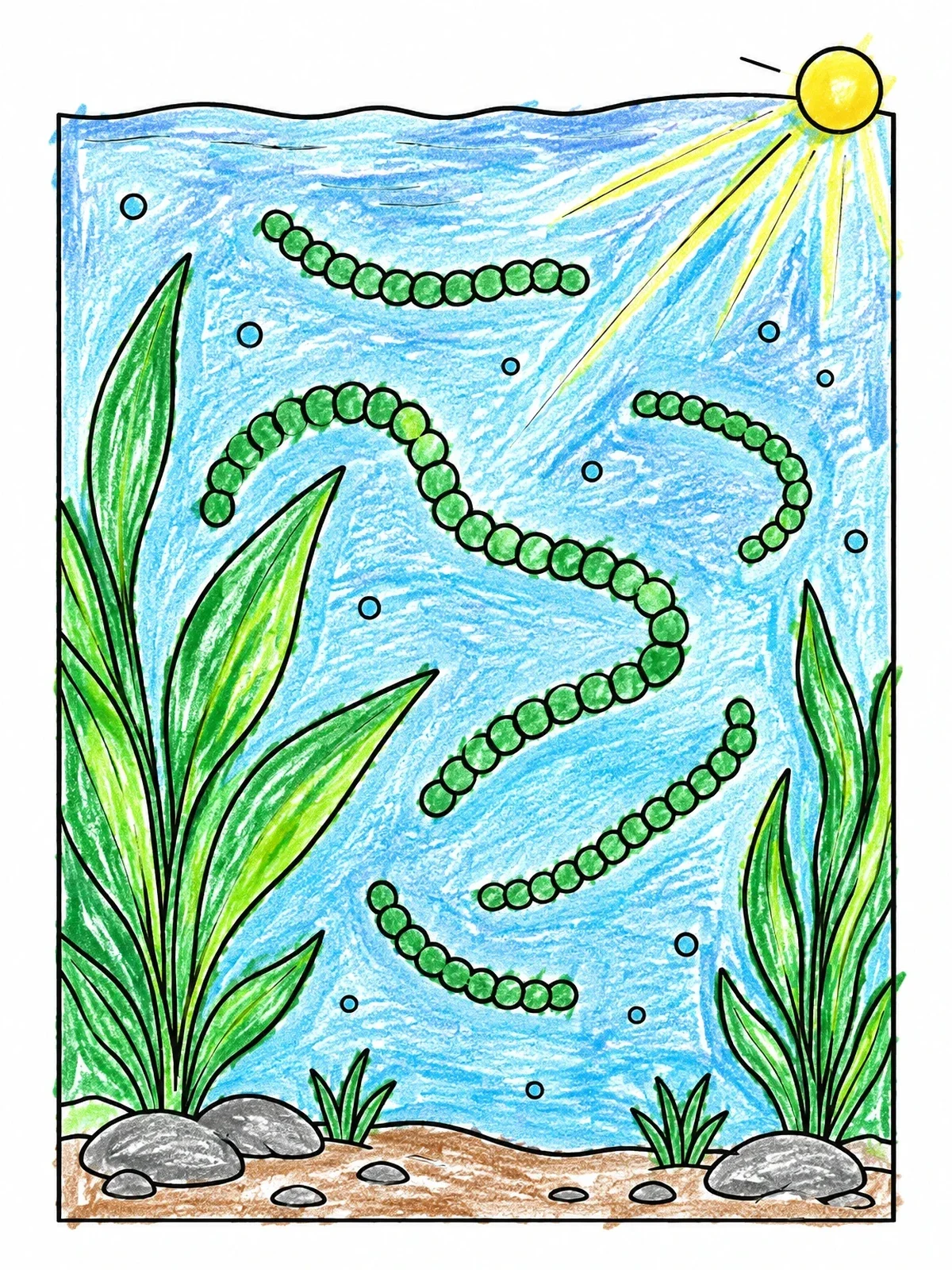 Colored example of the Cyanobacteria In Underwater Pond coloring page